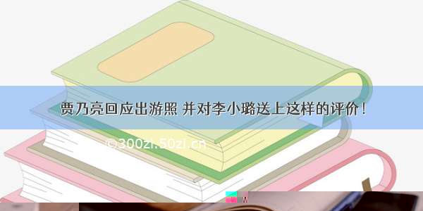 贾乃亮回应出游照 并对李小璐送上这样的评价！