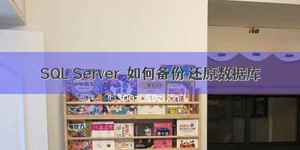 SQL Server  如何备份 还原数据库