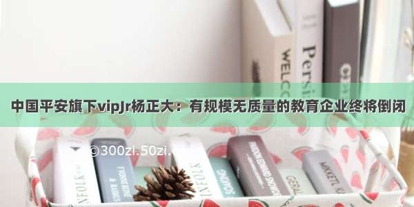 中国平安旗下vipJr杨正大：有规模无质量的教育企业终将倒闭