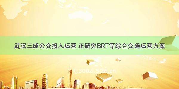武汉三成公交投入运营 正研究BRT等综合交通运营方案