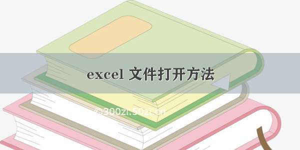 excel 文件打开方法