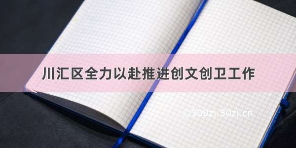 川汇区全力以赴推进创文创卫工作