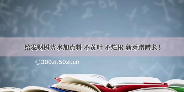 给发财树浇水加点料 不黄叶 不烂根 新芽蹭蹭长！