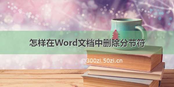 怎样在Word文档中删除分节符