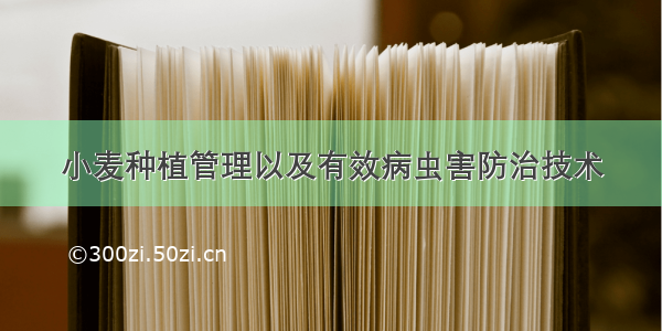 小麦种植管理以及有效病虫害防治技术