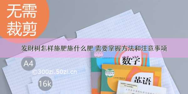 发财树怎样施肥施什么肥 需要掌握方法和注意事项