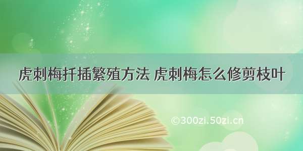 虎刺梅扦插繁殖方法 虎刺梅怎么修剪枝叶