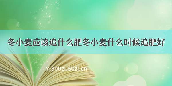 冬小麦应该追什么肥冬小麦什么时候追肥好