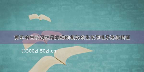 紫苏的生长习性是怎样的紫苏的生长习性及形态特征