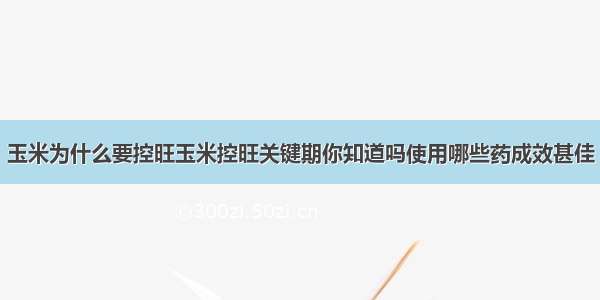 玉米为什么要控旺玉米控旺关键期你知道吗使用哪些药成效甚佳