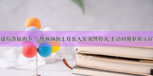 战局急转而下 气势汹汹的土耳其大军突然停火 主动对俄罗斯示好