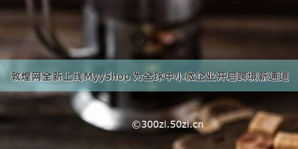 敦煌网全新上线MyyShop 为全球中小微企业开启跨境新通道