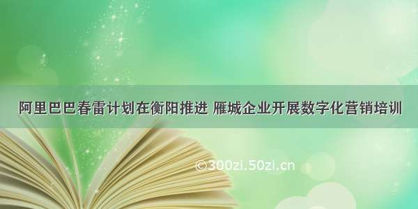 阿里巴巴春雷计划在衡阳推进 雁城企业开展数字化营销培训