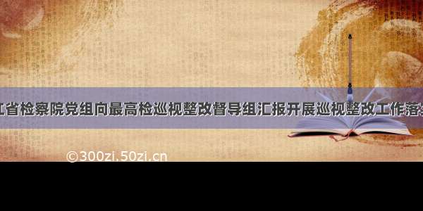 黑龙江省检察院党组向最高检巡视整改督导组汇报开展巡视整改工作落实情况