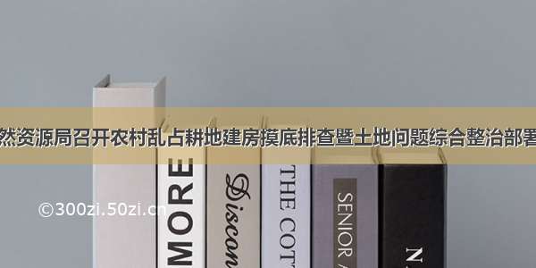 区自然资源局召开农村乱占耕地建房摸底排查暨土地问题综合整治部署会议