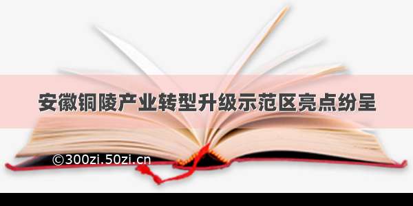 安徽铜陵产业转型升级示范区亮点纷呈