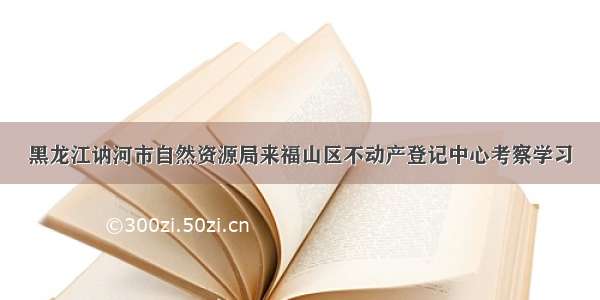 黑龙江讷河市自然资源局来福山区不动产登记中心考察学习