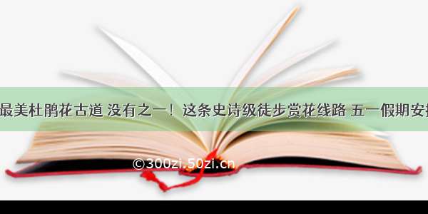 浙江最美杜鹃花古道 没有之一！这条史诗级徒步赏花线路 五一假期安排上！