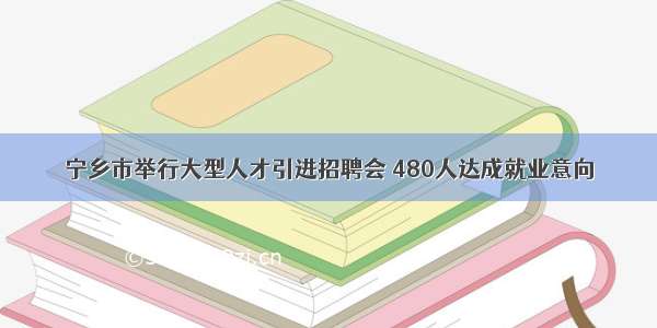 宁乡市举行大型人才引进招聘会 480人达成就业意向