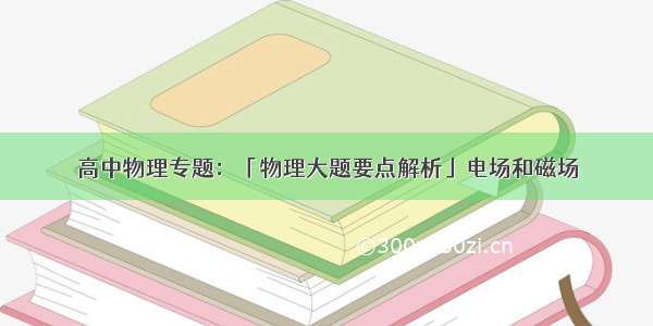 高中物理专题：「物理大题要点解析」电场和磁场