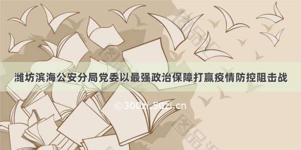 潍坊滨海公安分局党委以最强政治保障打赢疫情防控阻击战