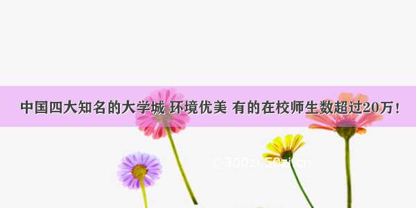 中国四大知名的大学城 环境优美 有的在校师生数超过20万！