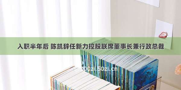 入职半年后 陈凯辞任新力控股联席董事长兼行政总裁