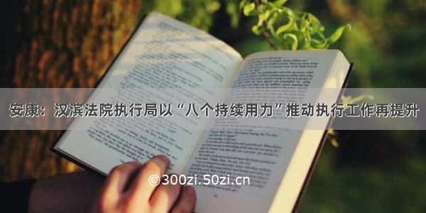 安康：汉滨法院执行局以“八个持续用力”推动执行工作再提升