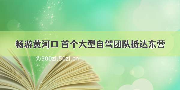 畅游黄河口 首个大型自驾团队抵达东营