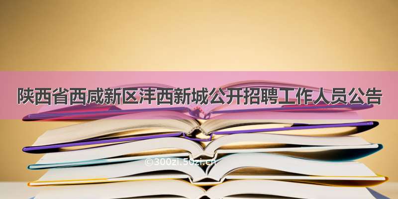 陕西省西咸新区沣西新城公开招聘工作人员公告