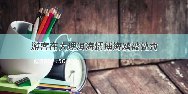 游客在大理洱海诱捕海鸥被处罚