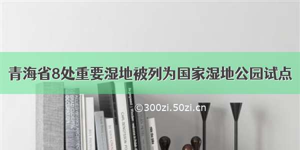 青海省8处重要湿地被列为国家湿地公园试点