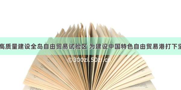 高标准高质量建设全岛自由贸易试验区 为建设中国特色自由贸易港打下坚实基础