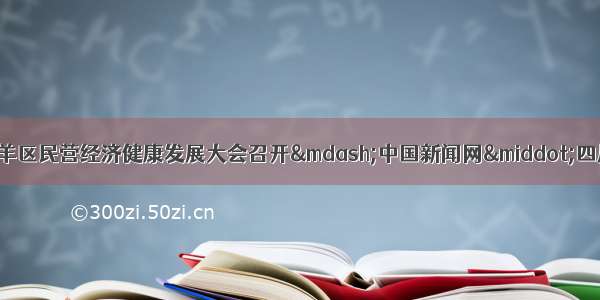 成都青羊区民营经济健康发展大会召开—中国新闻网·四川新闻