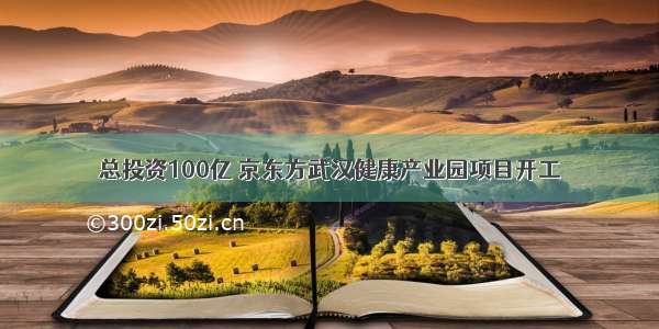 总投资100亿 京东方武汉健康产业园项目开工