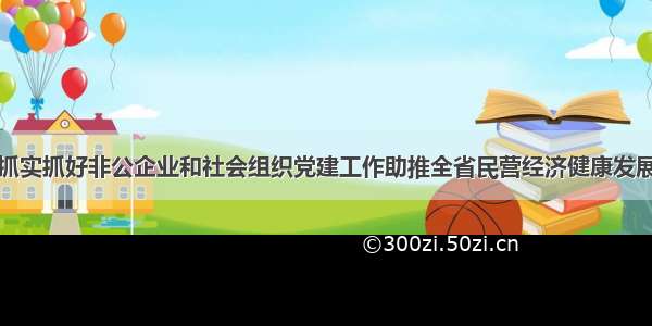 抓实抓好非公企业和社会组织党建工作助推全省民营经济健康发展