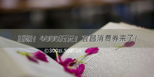 重磅！4000万元！宜昌消费券来了！