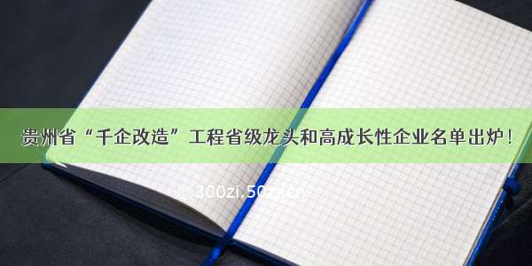 贵州省“千企改造”工程省级龙头和高成长性企业名单出炉！