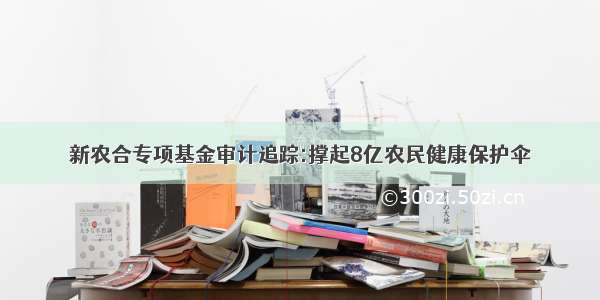 新农合专项基金审计追踪:撑起8亿农民健康保护伞