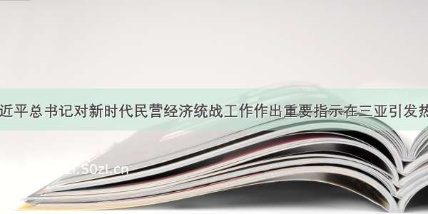 习近平总书记对新时代民营经济统战工作作出重要指示在三亚引发热议