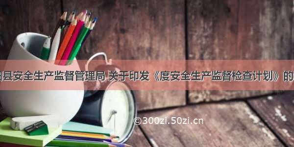 岳阳县安全生产监督管理局 关于印发《度安全生产监督检查计划》的通知