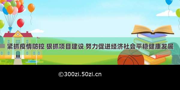 紧抓疫情防控 狠抓项目建设 努力促进经济社会平稳健康发展