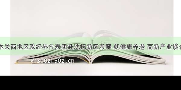 日本关西地区政经界代表团赴沈抚新区考察 就健康养老 高新产业谈合作