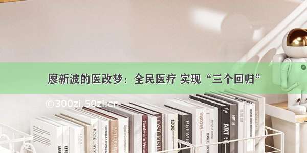 廖新波的医改梦：全民医疗 实现“三个回归”