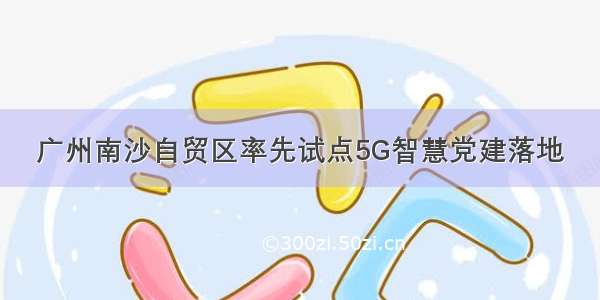 广州南沙自贸区率先试点5G智慧党建落地