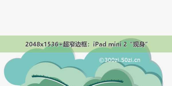 2048x1536+超窄边框：iPad mini 2“现身”