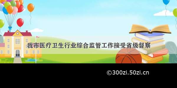 我市医疗卫生行业综合监管工作接受省级督察