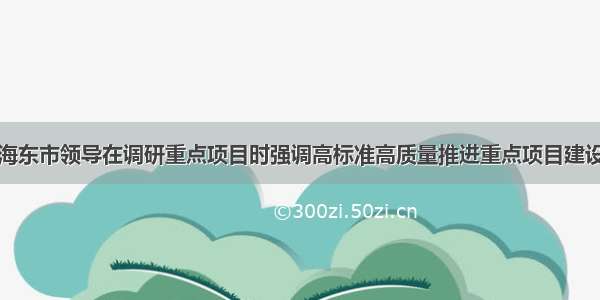 海东市领导在调研重点项目时强调高标准高质量推进重点项目建设