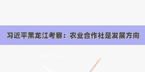 习近平黑龙江考察：农业合作社是发展方向