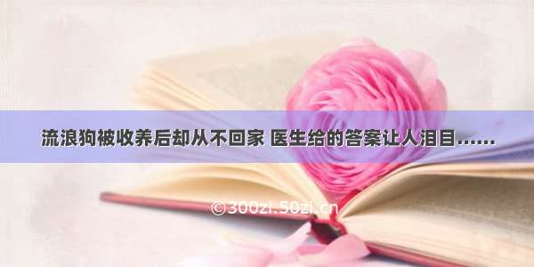 流浪狗被收养后却从不回家 医生给的答案让人泪目……